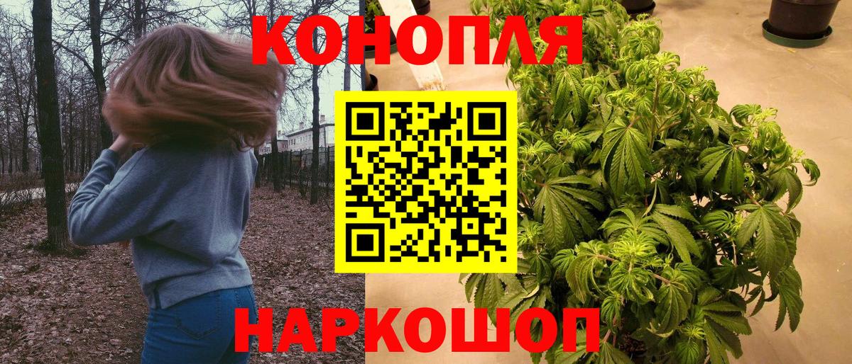Ливны  Бошки марихуана White Widow  МАРИХУАНА марихуана  Каннабис индика  Вход с VPN  Бошки марихуана гибрид 